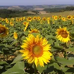 Сasa de vacaciones Maison Breton Biran